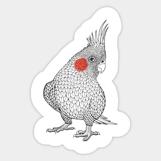 Parrot cockatiel bird cockatiel lover Sticker